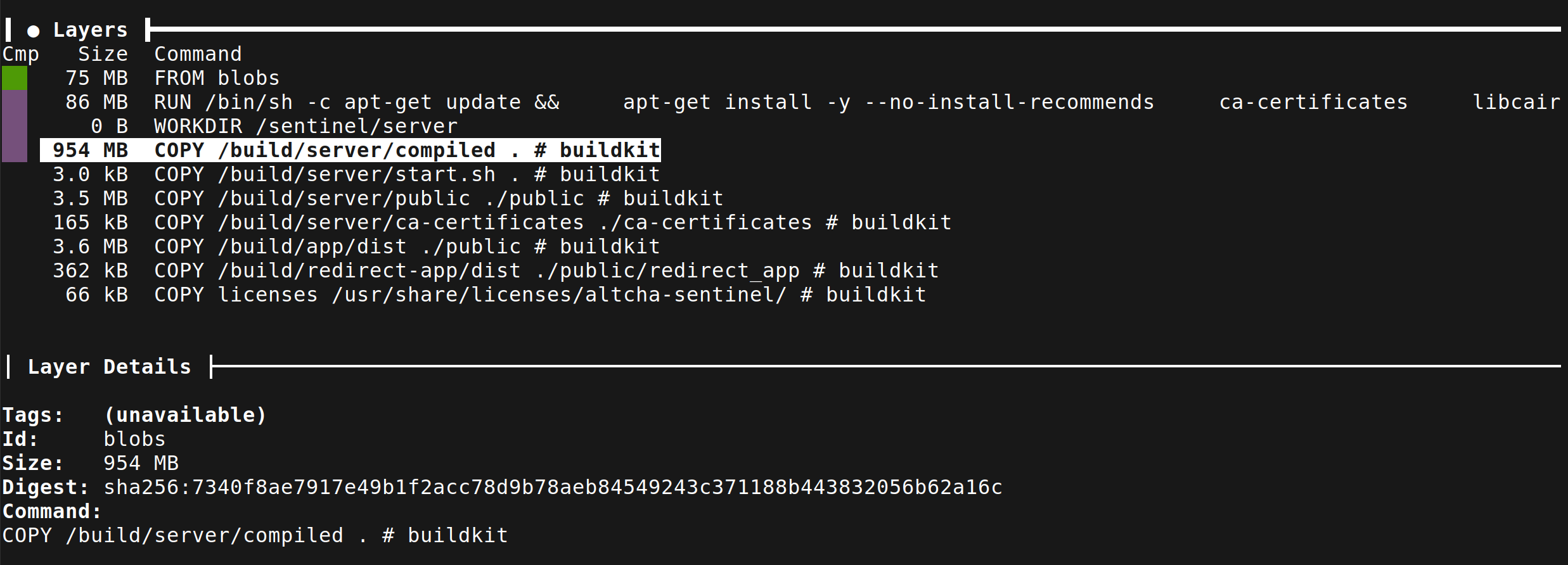Sentinel docker image